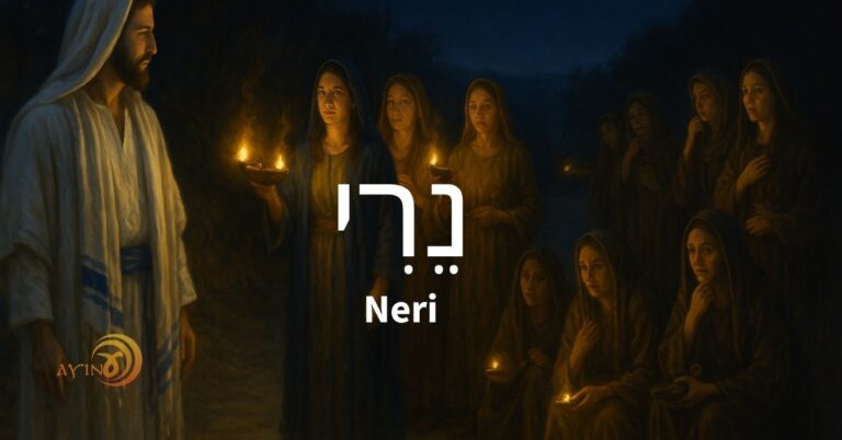 Shem Neri – #25