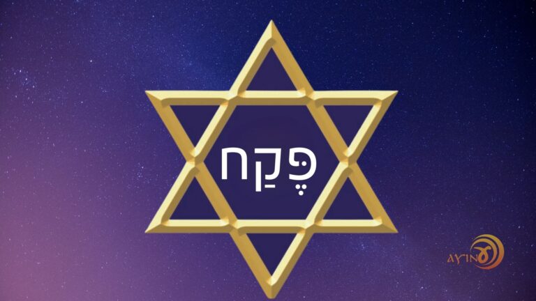 Shem Pekach – Ver com a Luz – #83