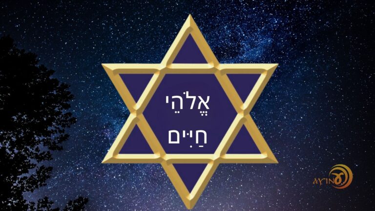 Shem Elohei Chayim — Vida – #66